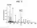 Fig. 06 - Ion trap mass spectrometer