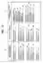 Fig. 10 - Charged particle apparatus, scanning electron microscope, and sample inspection method