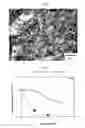 Fig. 02 - Carbon-based electrically conducting filler, composition and use thereof