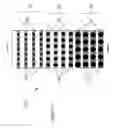 Fig. 22 - Pixel structure for a solid state light emitting device