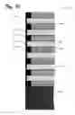 Fig. 11 - Fabrication of Nanowires