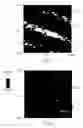 Fig. 06 - Method for providing a thin film having a chemical composition that is spatially structured on a micrometric or nanometric scale on a substrate
