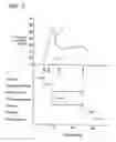 Fig. 08 - Injection molding method and injection molding apparatus