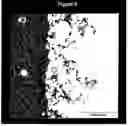 Fig. 06 - METHOD FOR PREPARING A THIN CERAMIC MATERIAL WITH CONTROLLED SURFACE POROSITY GRADIENT, AND RESULTING CERAMIC MATERIAL