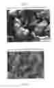 Fig. 02 - USE OF POLYMER POWDER PRODUCED FROM A DISPERSION IN A SHAPING PROCESS, AND MOLDINGS PRODUCED FROM THIS POLYMER POWDER
