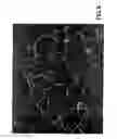 Fig. 10 - Density and hardness pressureless sintered and post-HIPed BC