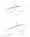 Fig. 18 - Suspension system for a ski