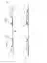 Fig. 19 - Suspension system for a ski
