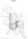 Fig. 02 - Hydraulic braking system that provides acceleration assistance and battery recharging