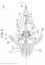 Fig. 06 - Light source device and projector
