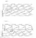 Fig. 09 - Vehicular generator-motor control apparatus