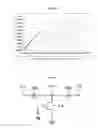 Fig. 04 - Predistorter for Linearization of Power Amplifier