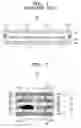 Fig. 02 - Multi-band filter module and method of fabricating the same