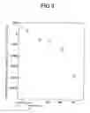 Fig. 04 - Liquid Crystal Display