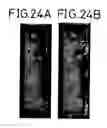 Fig. 22 - Liquid crystal display device