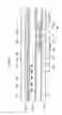 Fig. 03 - Liquid crystal display and thin film transistor array panel therefor