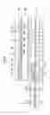 Fig. 07 - Liquid crystal display and thin film transistor array panel therefor