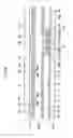 Fig. 09 - Liquid crystal display and thin film transistor array panel therefor