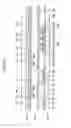 Fig. 11 - Liquid crystal display and thin film transistor array panel therefor