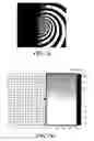 Fig. 07 - Process and device for treating blind regions of the visual field