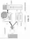 Fig. 10 - Process and device for treating blind regions of the visual field
