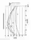 Fig. 08 - Array detector coupled spectroanalytical system and graded blaze angle grating
