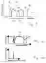 Fig. 03 - Method and apparatus for conducting heterodyne frequency-comb spectroscopy
