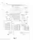Fig. 06 - Reproduction of documents into requested forms