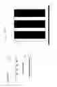 Fig. 03 - Spatial light modulator and a display device