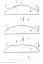 Fig. 02 - Multi-lens lenticular system and lighting device for an autostereoscopic display