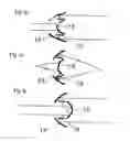 Fig. 05 - System and method for producing a light beam with spatially varying polarization