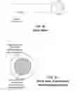 Fig. 09 - Retroreflective marker-tracking systems