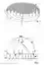 Fig. 02 - Light absorbing elements