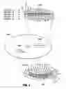 Fig. 04 - Disk drive defect map encoding scheme
