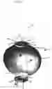 Fig. 04 - Solar-powered collapsible lighting apparatus