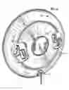 Fig. 08 - Ceiling lamp holder to accept a non-incandescent lamp