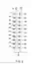Fig. 04 - Nonvolatile semiconductor memory device and data writing method therefor