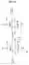 Fig. 13 - Internal voltage generation circuit of semiconductor memory device