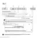 Fig. 02 - Accelerated establishment of a connection between a number of mobile radio users