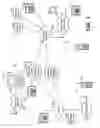 Fig. 02 - Computing device supporting selective local call termination and call bridging