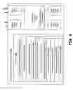 Fig. 07 - Distributed server function in a VoIP to telephony bridging network
