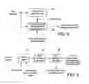 Fig. 07 - Communications system and communication control method
