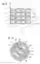 Fig. 05 - Radioscopy device
