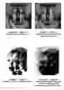 Fig. 07 - Perceptual modeling of media signals for data hiding
