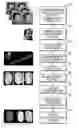 Fig. 01 - 3D face reconstruction from 2D images
