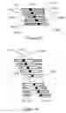 Fig. 16 - Method and system for improved processing of image data