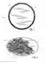 Fig. 02 - Sealable article container