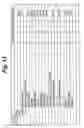 Fig. 13 - Apparatus and reproducing method, for reproducing content data recorded on a recording medium