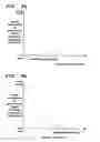 Fig. 04 - Imaging device with image blurring reduction function