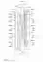Fig. 06 - Optical switching device for a transparent node of high switching degree adapted to spectral equalization
